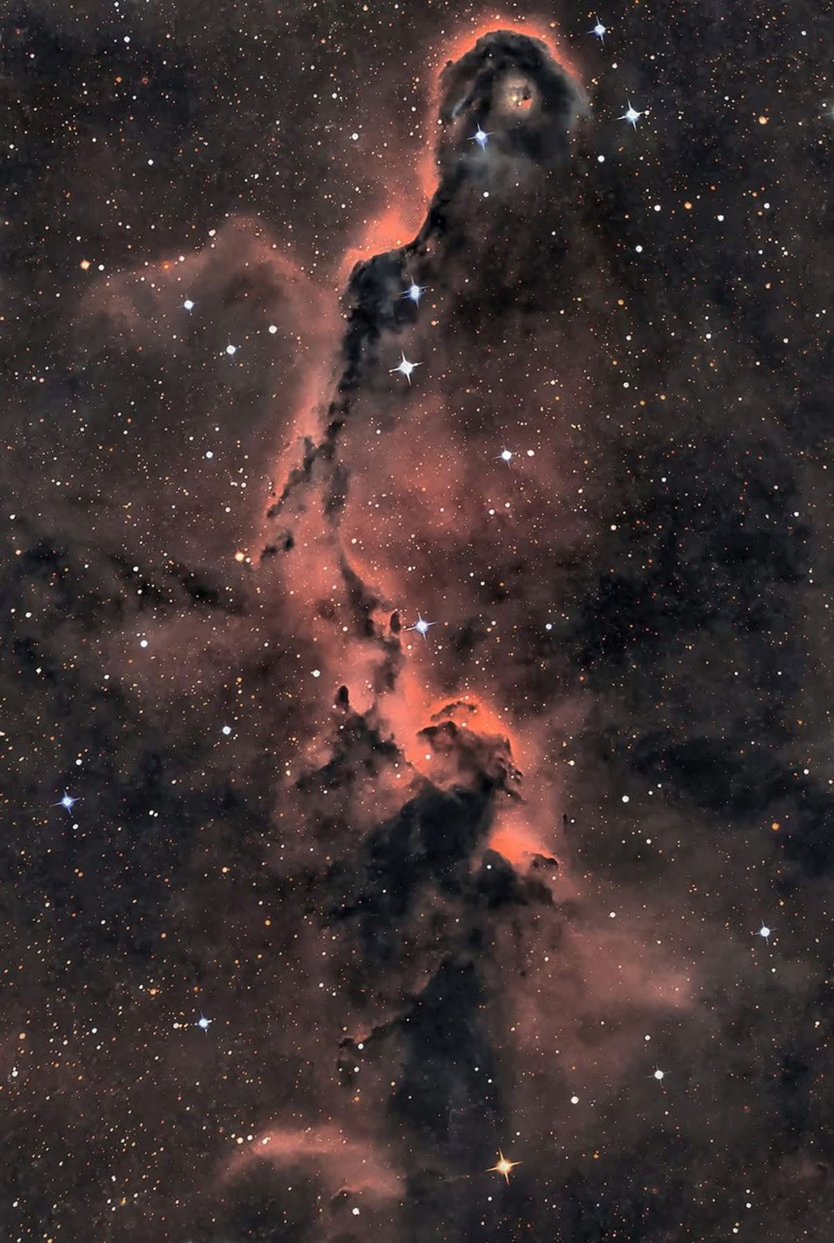 APOD: 2026 August 20 – The Elephant’s Trunk in Cepheus