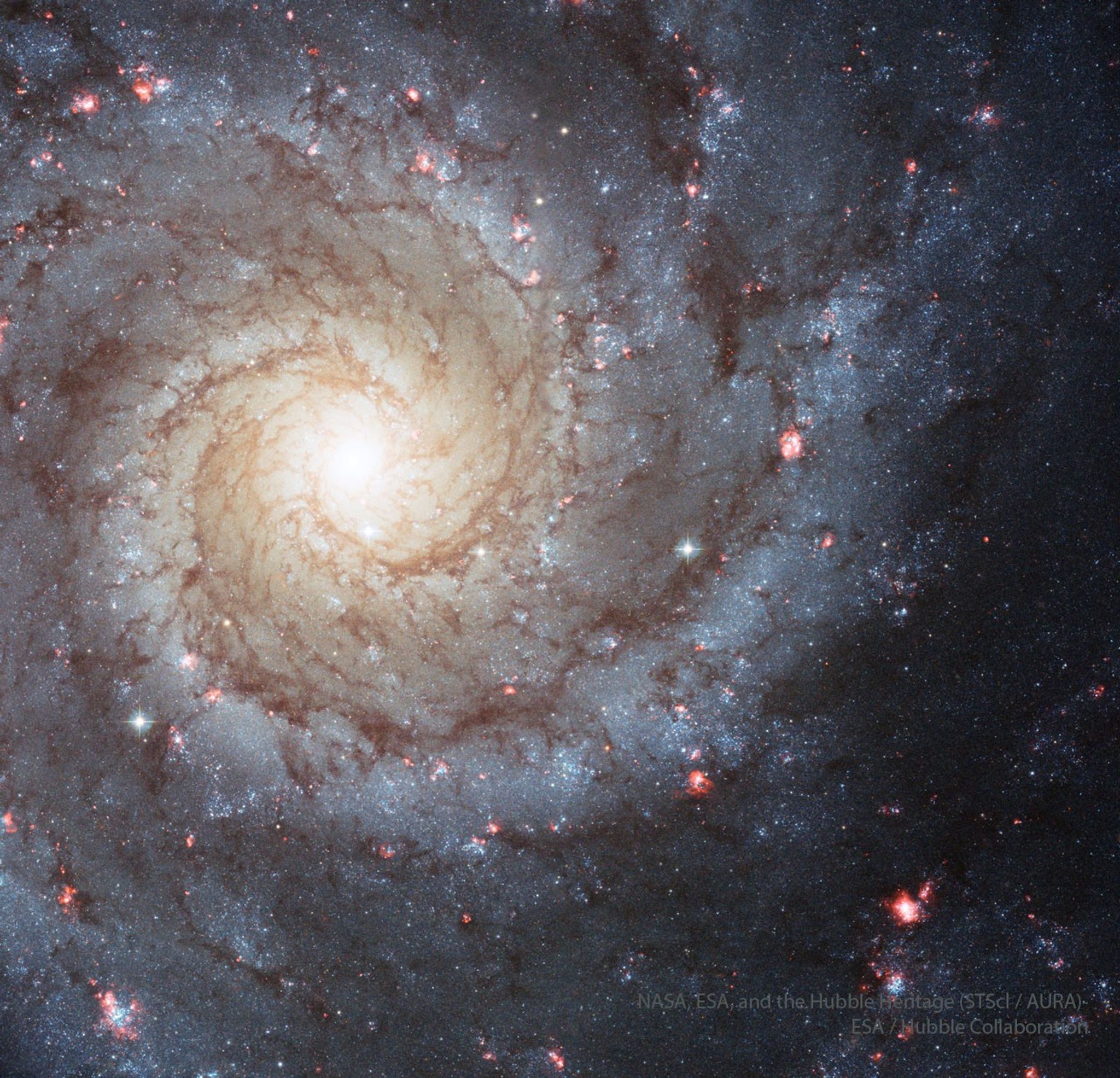 A spiral galaxy with grand, winding spiral arms.