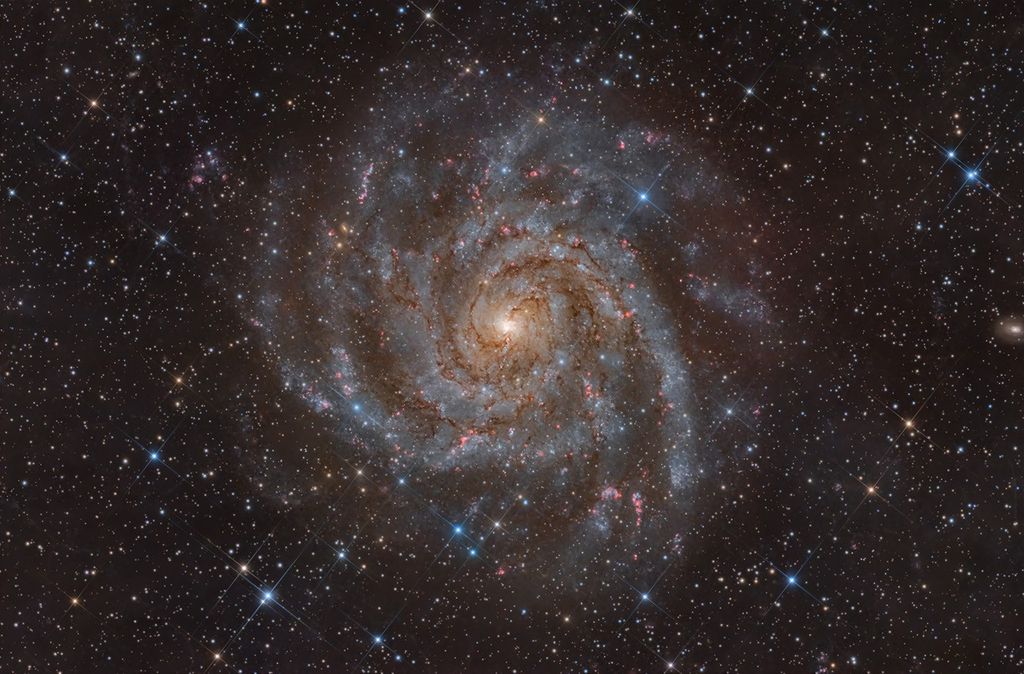 APOD: 2026 January 8 – IC 342: Hidden Galaxy in Camelopardalis