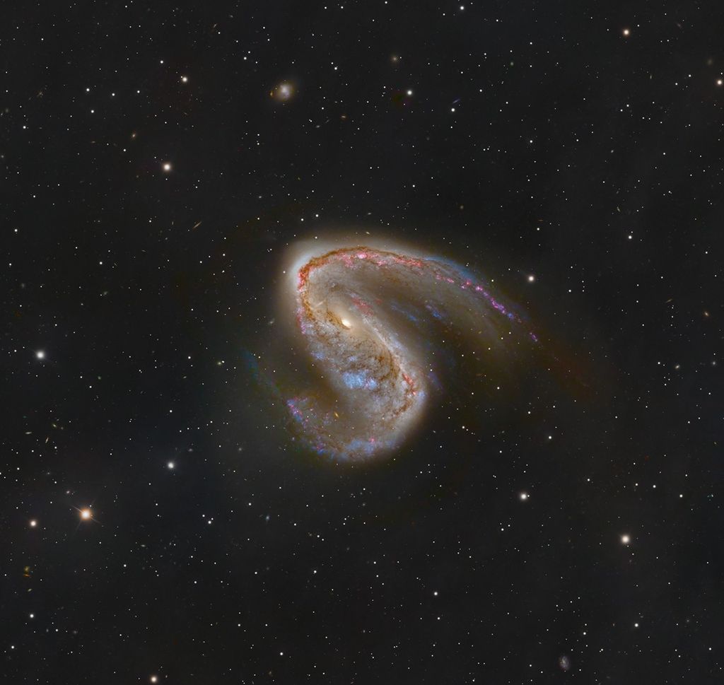 APOD: 2026 January 29 – NGC 2442: Galaxy in Volans