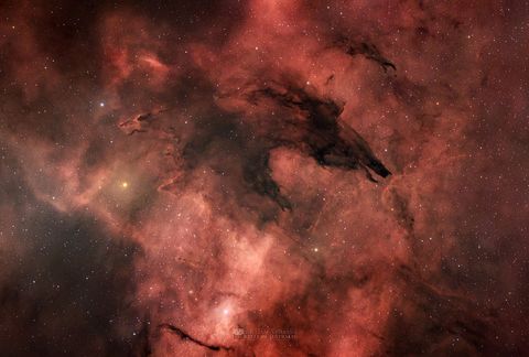 A dark and whispy cloud blocks the background light from surrounding gas and stars. It resembles the head, snout, and jaws of a wolf.