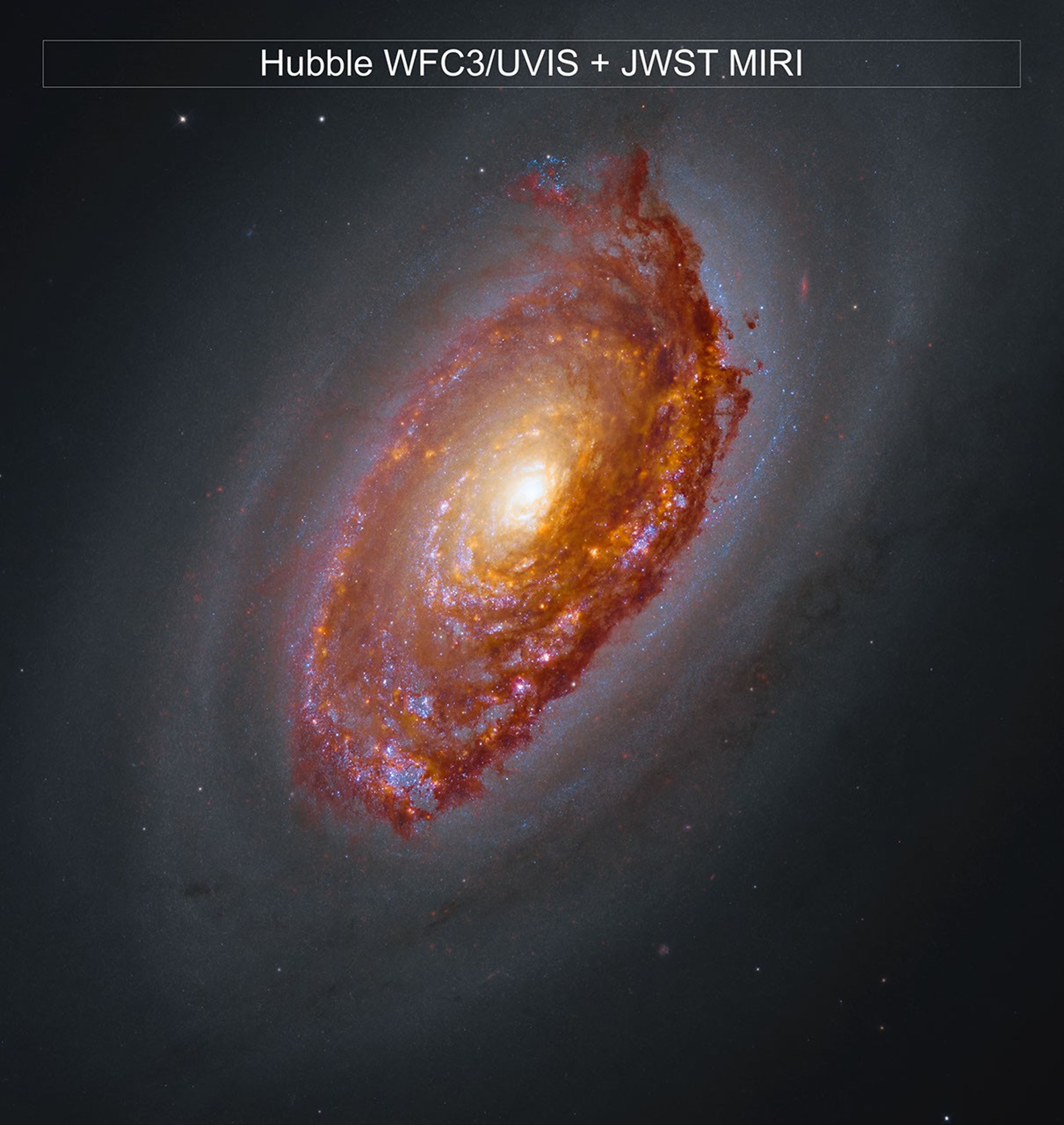 Hubble and JWST image of M64. A massive spiral galaxy glows with a yellow core, surrounded by arms full of orange-brown dust and pink and blue patches of star formation. Framed by a haze of dark dust, the galaxy shines against black space dotted with a few stars.