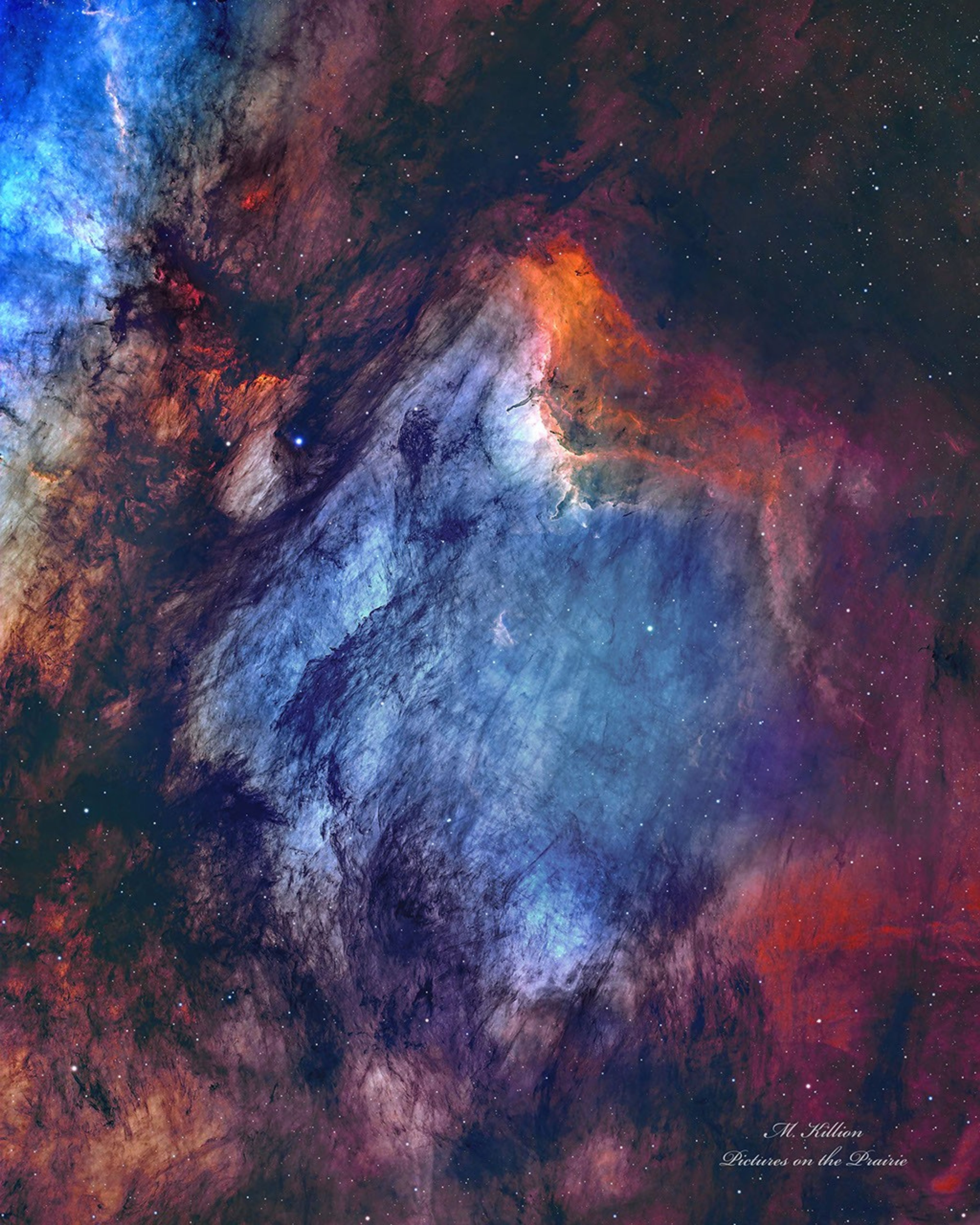 A busy starfield is dominated by red and blue glowing gas and dark filamentary dust. The nebula appears to some to have the shape of a pelican.