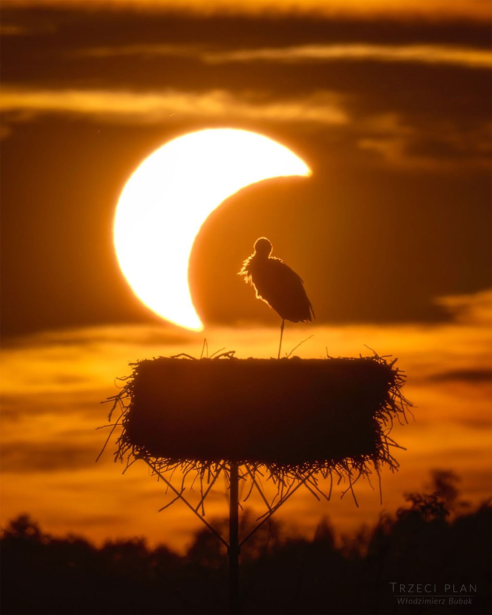 APOD: 2026 September 3 – The Eclipse and the Stork APOD: 2026 September 3 – The Eclipse and the Stork