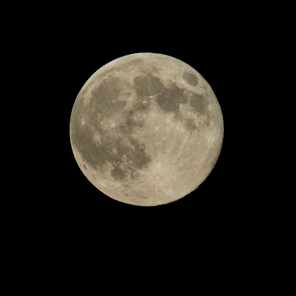 Una luna llena en su perigeo, o superluna, es vista el 10 de agosto de 2014 en Washington. Una superluna ocurre cuando la �rbita de la Luna est� m�s cerca de la Tierra (perigeo) al mismo tiempo que est� llena.