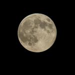 Una luna llena en su perigeo, o superluna, es vista el 10 de agosto de 2014 en Washington. Una superluna ocurre cuando la �rbita de la Luna est� m�s cerca de la Tierra (perigeo) al mismo tiempo que est� llena.