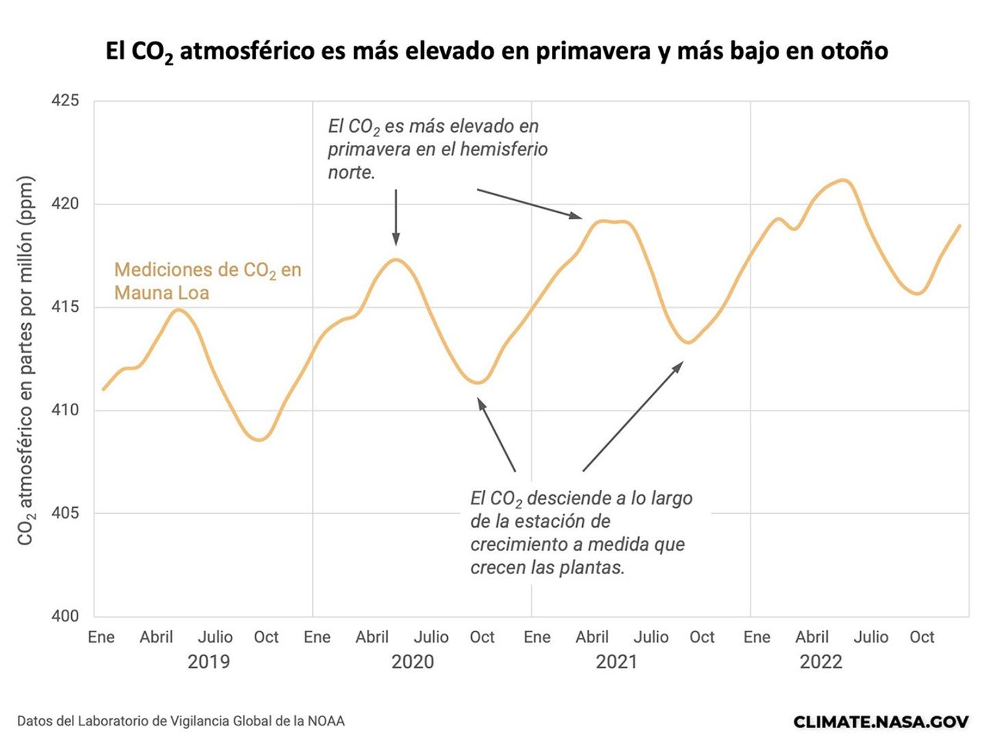 Gráfico de las mediciones de dióxido de carbono (CO₂) en Mauna Loa entre 2019 y 2022, mostrando un patrón estacional: el CO₂ alcanza picos más altos en primavera en el hemisferio norte y disminuye en otoño a medida que las plantas crecen. Los valores oscilan entre 410 y 422 partes por millón." ¿Quieres que también prepare una versión simplificada para destacar solo la idea principal (que el CO₂ sube en primavera y baja en otoño), útil para accesibilidad básica?