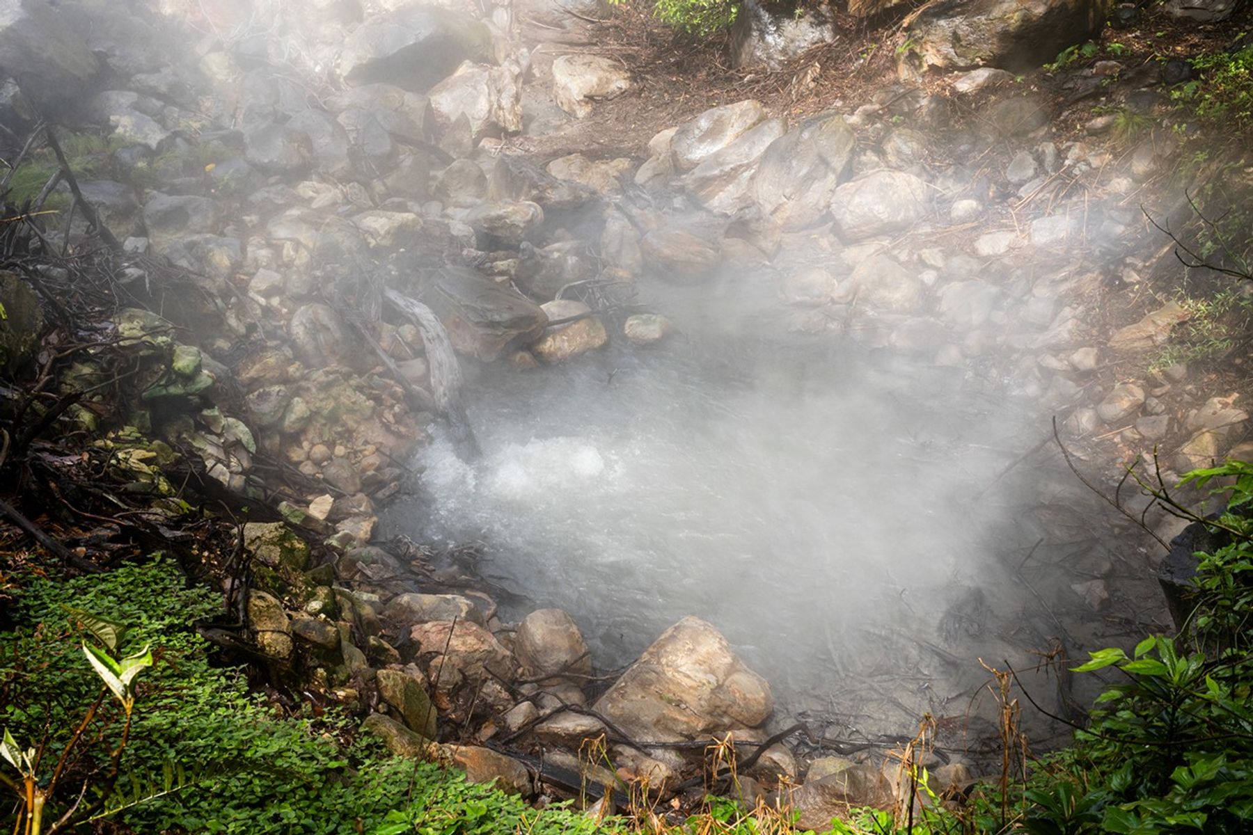 El dióxido de carbono liberado por el aumento de las burbujas de magma calienta un charco de agua en Costa Rica, cerca del volcán Rincón de la Vieja. El aumento en los gases volcánicos podría ser una señal de que un volcán se está volviendo más activo.