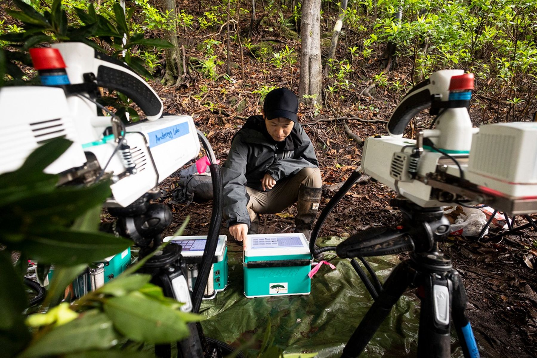 El profesor visitante de la Universidad de Chapman, Gaku Yokoyama, revisa la instrumentación de medición de hojas en un sitio de trabajo de campo cerca del volcán Rincón de la Vieja.