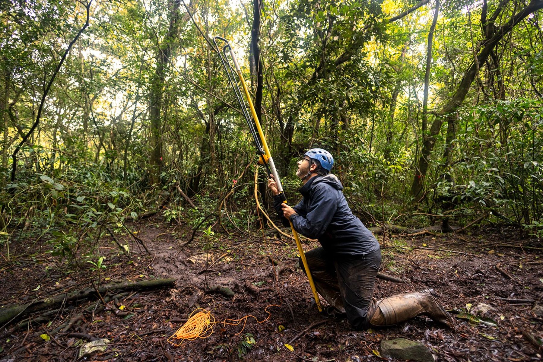 Gregory Goldsmith, de la Universidad Chapman, dispara una honda al dosel del bosque para instalar un sensor de dióxido de carbono en las copas de los árboles de una selva tropical costarricense cerca del volcán Rincón de la Vieja.