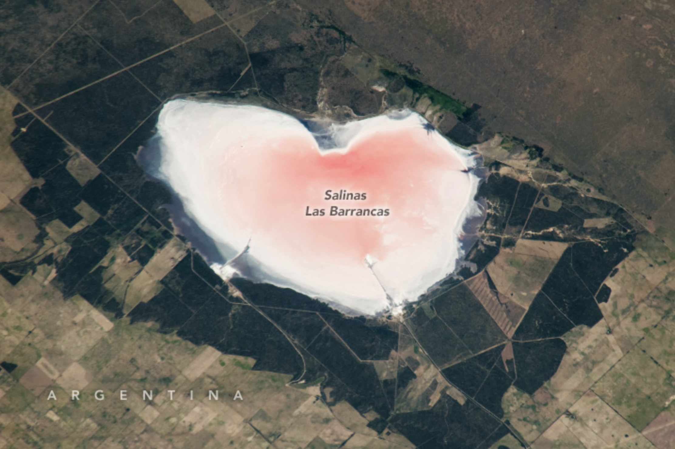 Imagen satelital de Salinas Las Barrancas. Este lago aparece de color blanco y rosa rodeado de campos de cultivo.
