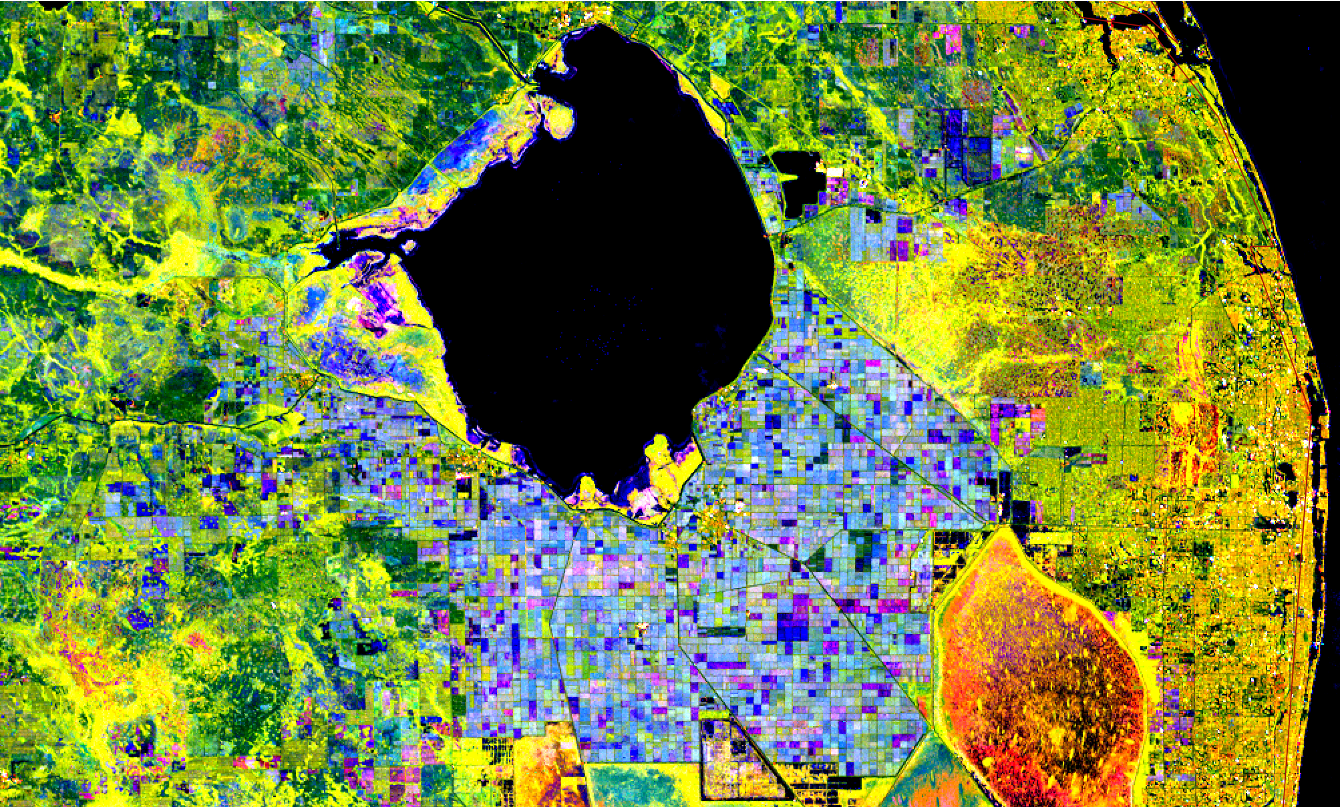 Los datos recopilados en 2017 por el programa satelital europeo Sentinel 1 SAR muestran cambios en las tierras de cultivo en la región al sureste del lago Okeechobee de Florida. Los colores en los campos indican diversos cultivos en diferentes partes de sus ciclos de crecimiento y cosecha. NISAR recopilará datos similares en frecuencias de radar de banda L y S.