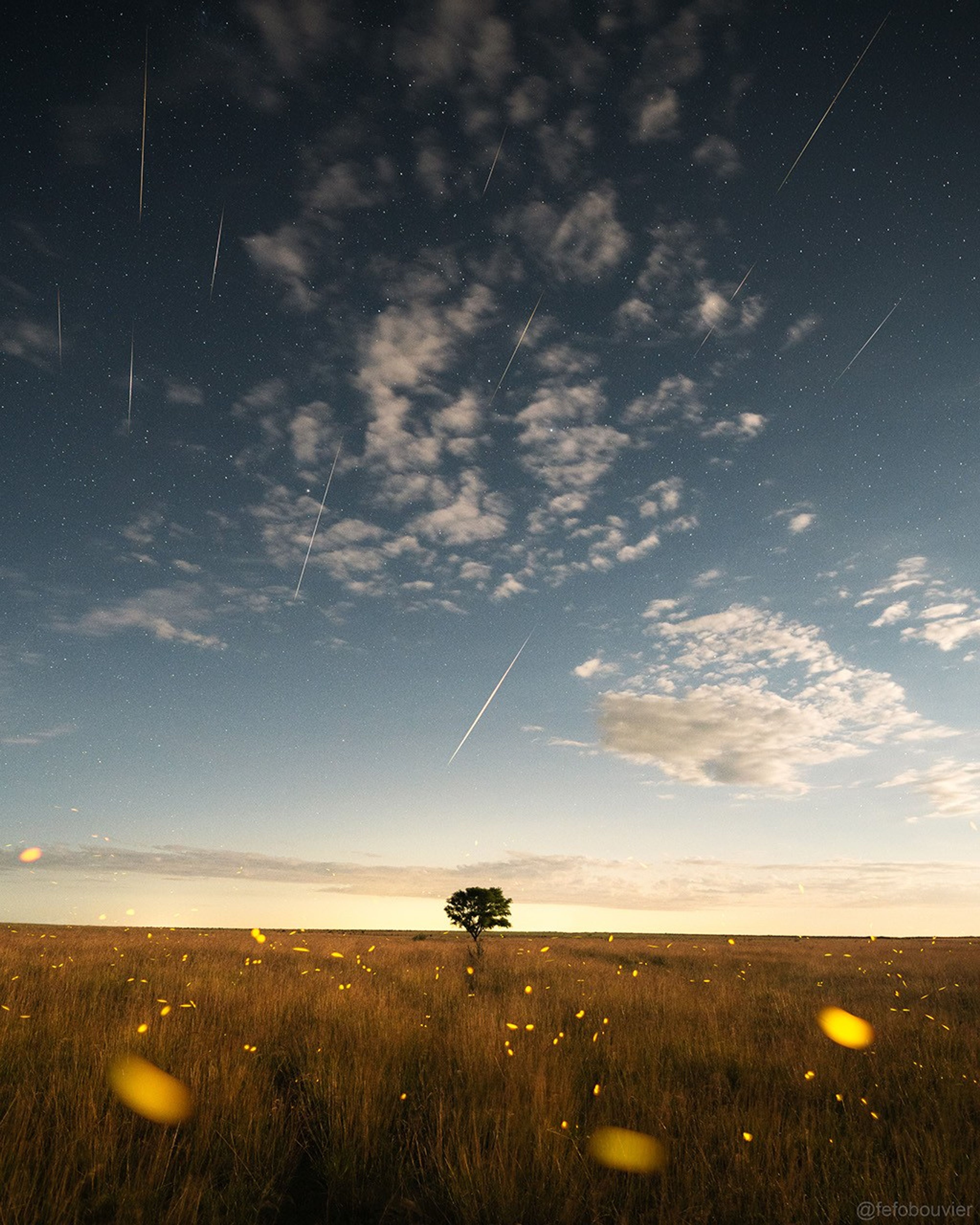 Las luciérnagas brillan en un campo iluminado por la luna en esta escena tomada la noche del 13 al 14 de diciembre desde el sur de Uruguay.