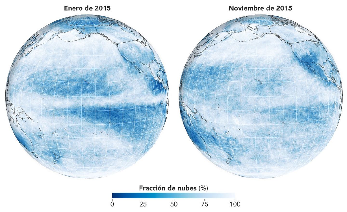Los globos terrestres muestran la fracción de nubes situadas sobre el océano Pacífico en enero y noviembre de 2015, según mediciones del instrumento MODIS a bordo del satélite Aqua de la NASA. Los datos muestran con qué frecuencia y en qué cantidad se llenó de nubes el cielo sobre una región en particular. 