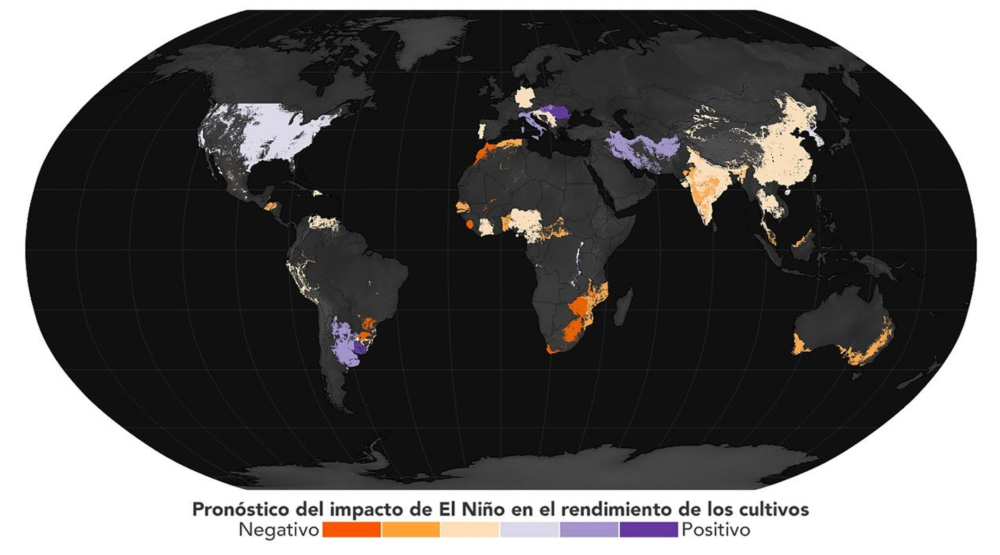La alteración de los patrones de precipitaciones causadas por El Niño puede afectar el rendimiento de los cultivos. Este mapa muestra los impactos proyectados de El Niño de 2023 en los principales cultivos básicos.