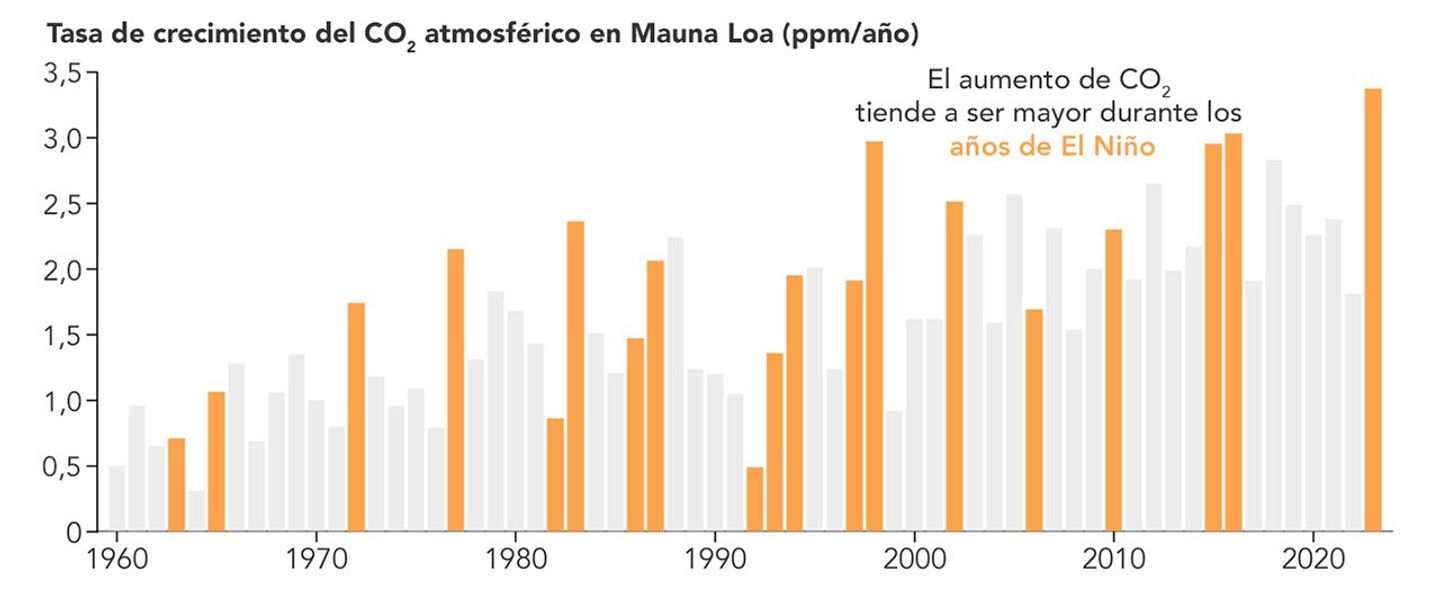 Gráfica que muestra la tasa de crecimiento del CO2 atmosférico en Mauna Loa durante los años de El Niño.