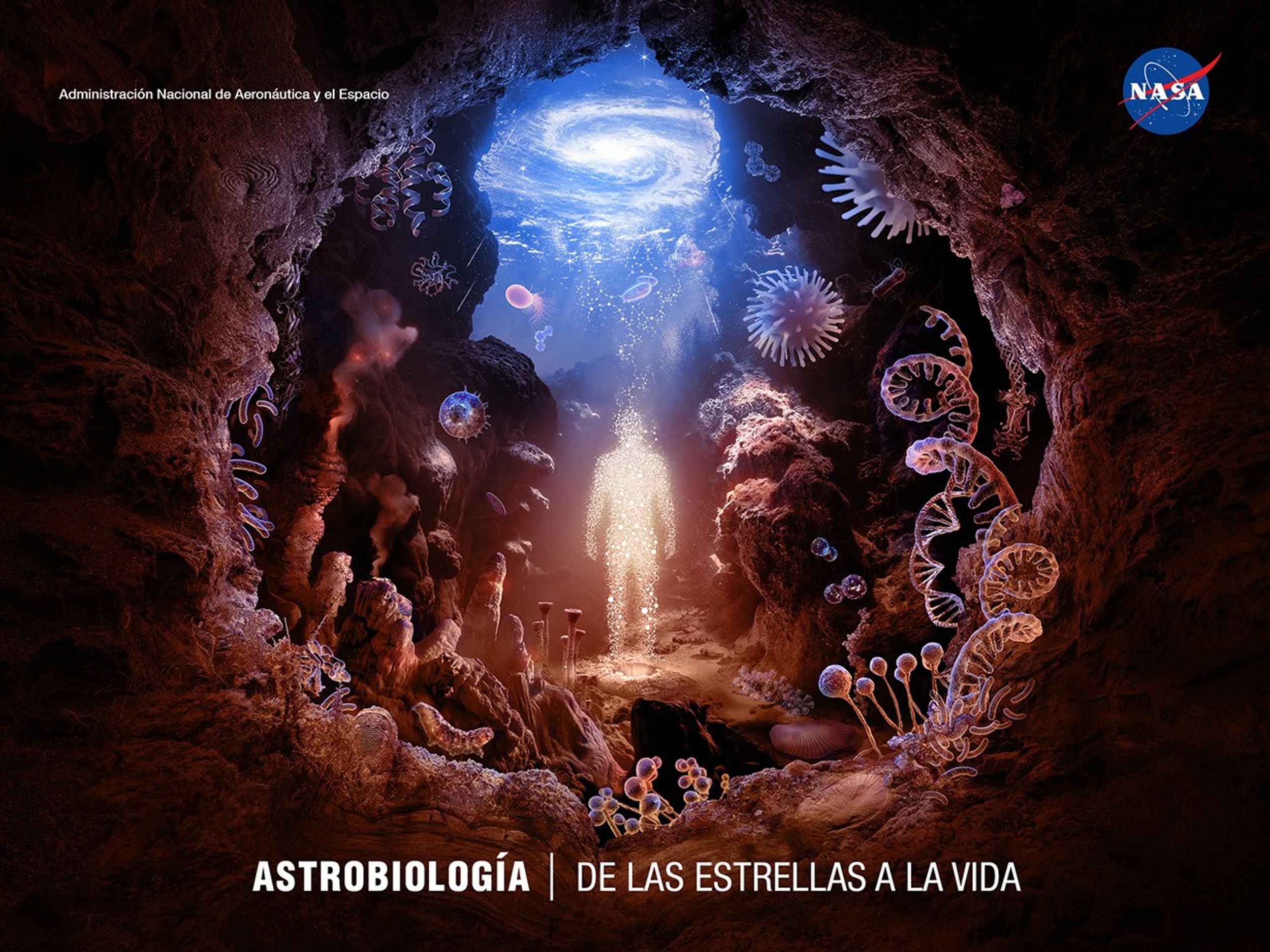 Esta ilustración muestra una escena submarina en tonos cálidos, en una vista que mira hacia arriba a través de una cueva esférica que se abre hacia el cielo lejano. Microscópicos componentes básicos de la vida (moléculas, aminoácidos, proteínas, bacterias, microorganismos y extremófilos) se ven creciendo en las superficies submarinas y flotando por todo el paisaje. A esta escala, estos organismos microscópicos parecen desproporcionados y extraños. En la roca de los alrededores están incrustados fósiles del período Ediacárico. Chimeneas de vapor caliente y estromatolitos cubren el primer plano, mientras que mohos de limo y líquenes ocupan el resto del paisaje. Un respiradero hidrotermal central emite partículas resplandecientes que se fusionan y se convierten en la figura de un ser humano. Las resplandecientes estructuras moleculares se intercalan con las partículas y flotan hacia la superficie del agua, que está iluminada de azul. El reflejo ondulante en la superficie se asemeja a una lejana galaxia espiral. De las estrellas a la vida, somos iguales.