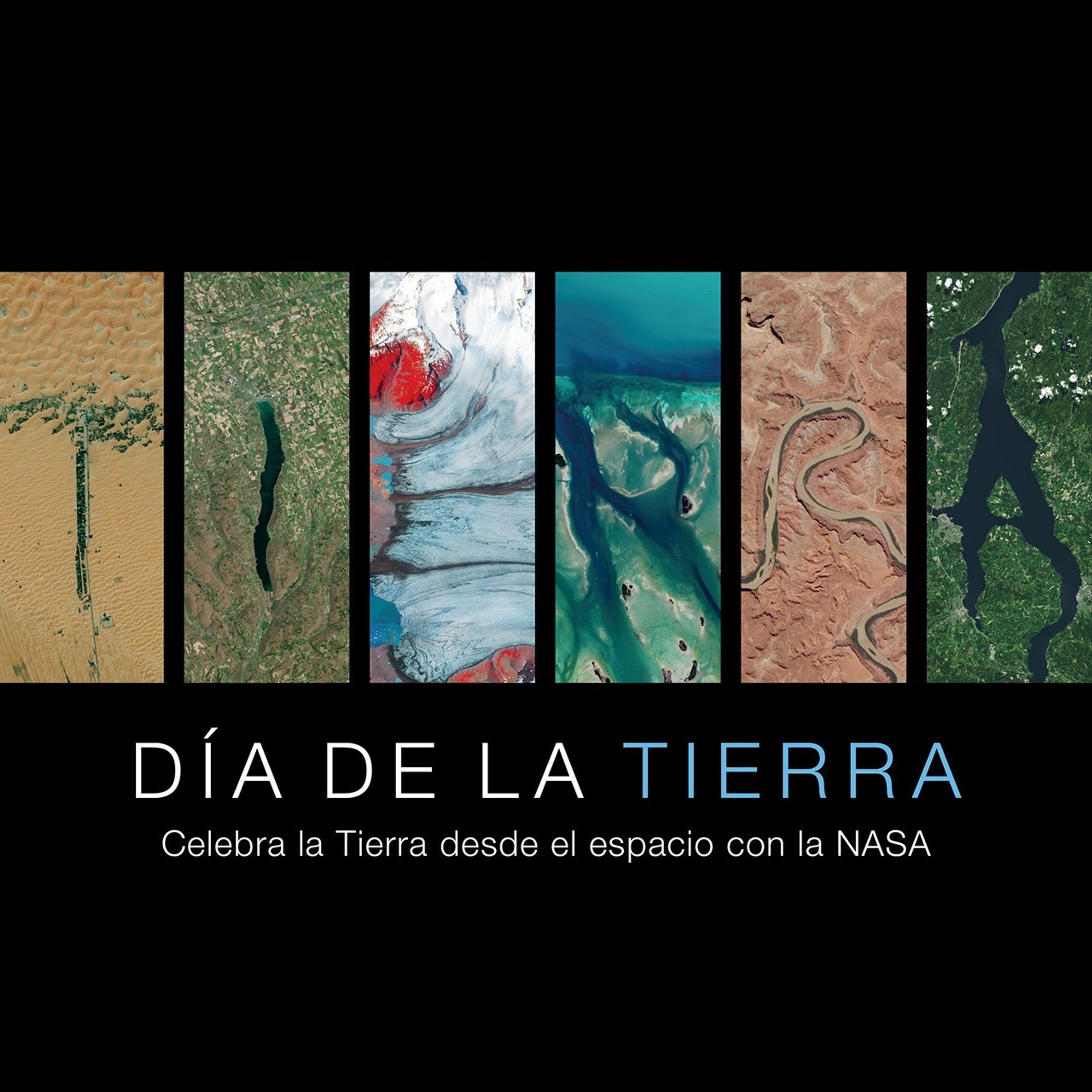 Jour de la Terre 2025 : Affiches gratuites et fonds Jour de la Terre 2025 : Affiches gratuites et fonds