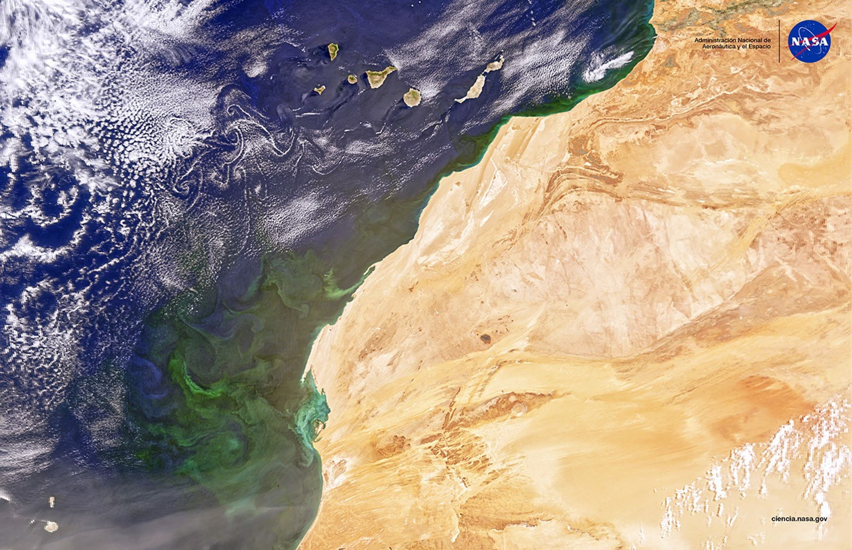 Vista satelital del noroeste de África que muestra el desierto del Sahara, remolinos de corrientes oceánicas y nubes dispersas sobre el océano Atlántico; las Islas Canarias son visibles frente a la costa. El logotipo de la NASA aparece en la esquina superior derecha.