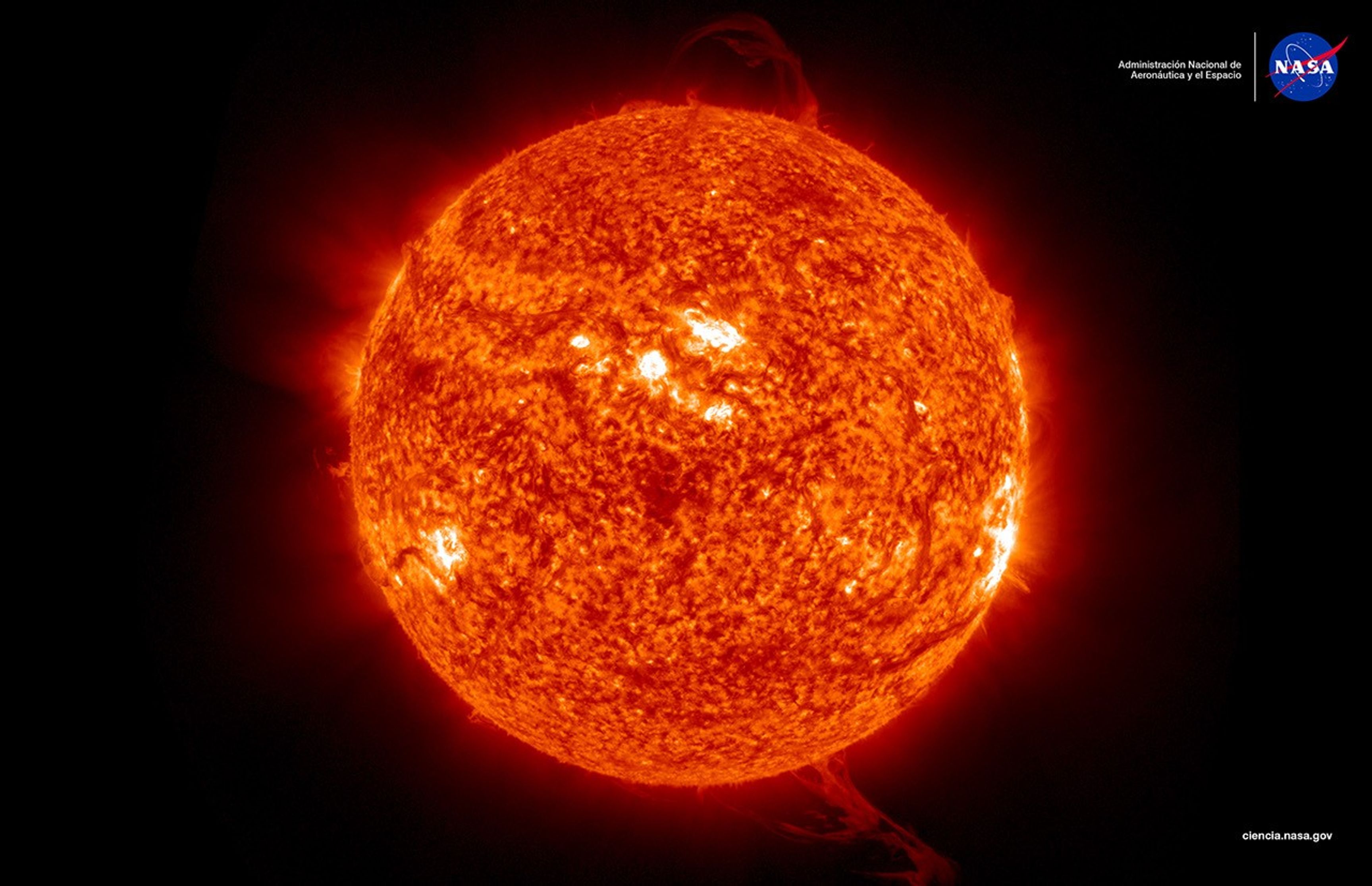 Imagen del Sol exhibiendo una ráfaga de actividad solar. El Sol aparece como una esfera de color naranja brillante contra el fondo negro del espacio, con varias erupciones solares visibles extendiéndose desde diferentes áreas de su superficie.