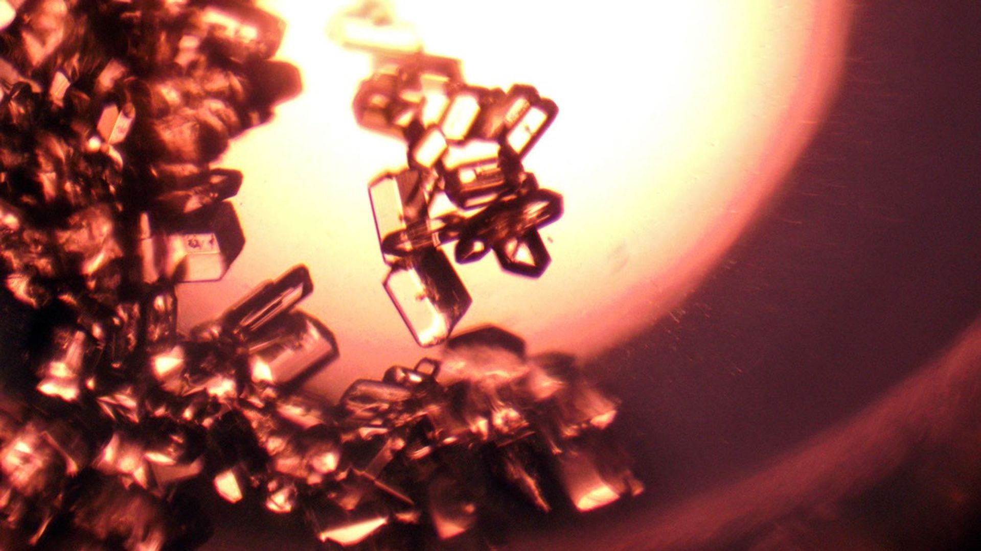 Muestra de cristales farmacéuticos desarrollados a bordo de la Estación Espacial Internacional tras su llegada a la Tierra.