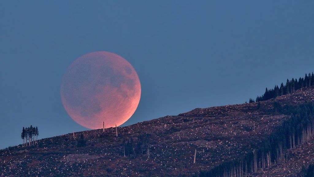 What’s Up: August 2026 Skywatching Tips from NASA