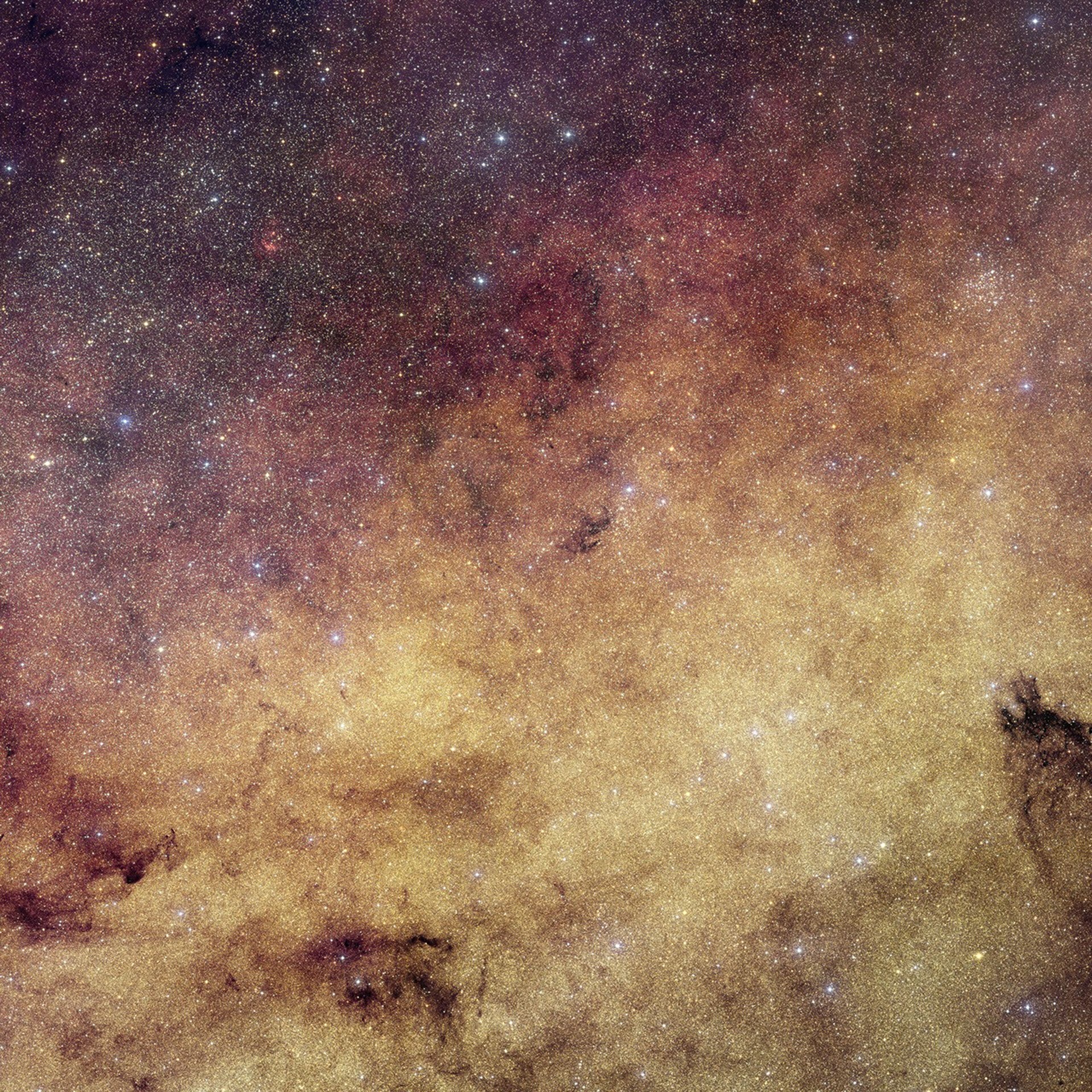 Imagen salpicada de pequeñas estrellas sobre un fondo en tonos de violeta, rosado y arena. 