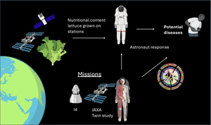 Lettuce Find Healthy Space Food! Citizen Scientists Study Space Salads ...