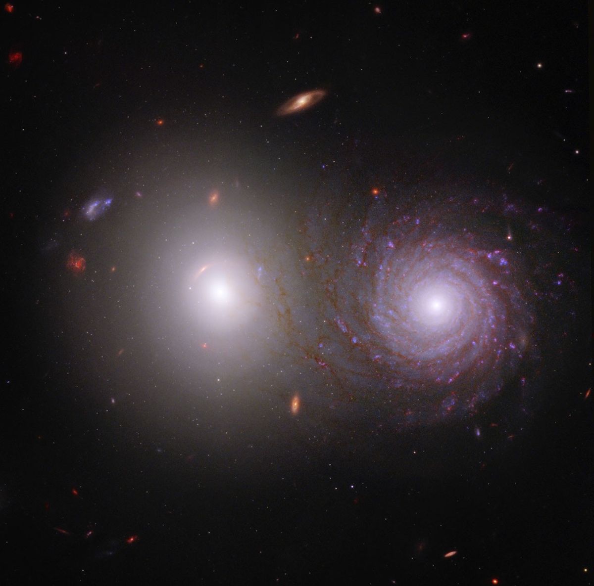 Help Overlap Zoo Reveal Cosmic Dust