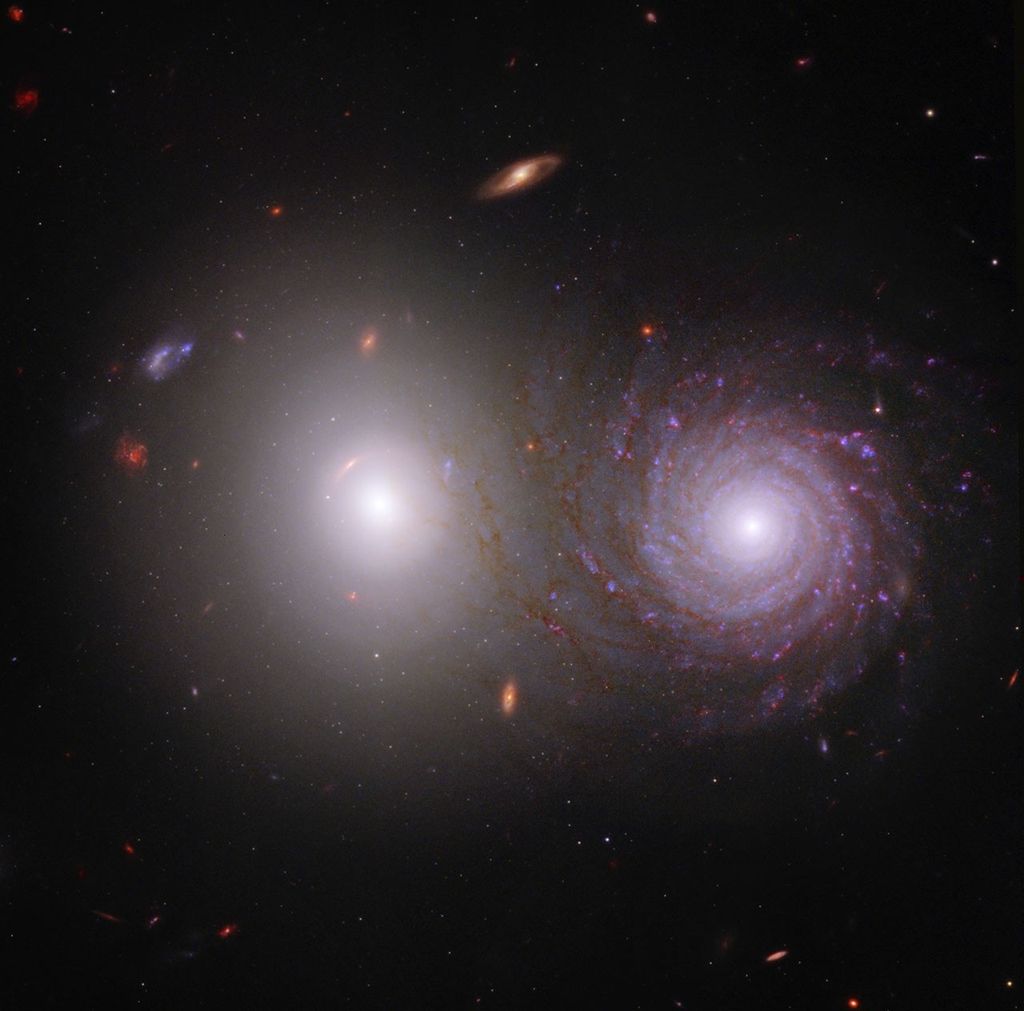 Help Overlap Zoo Reveal Cosmic Dust