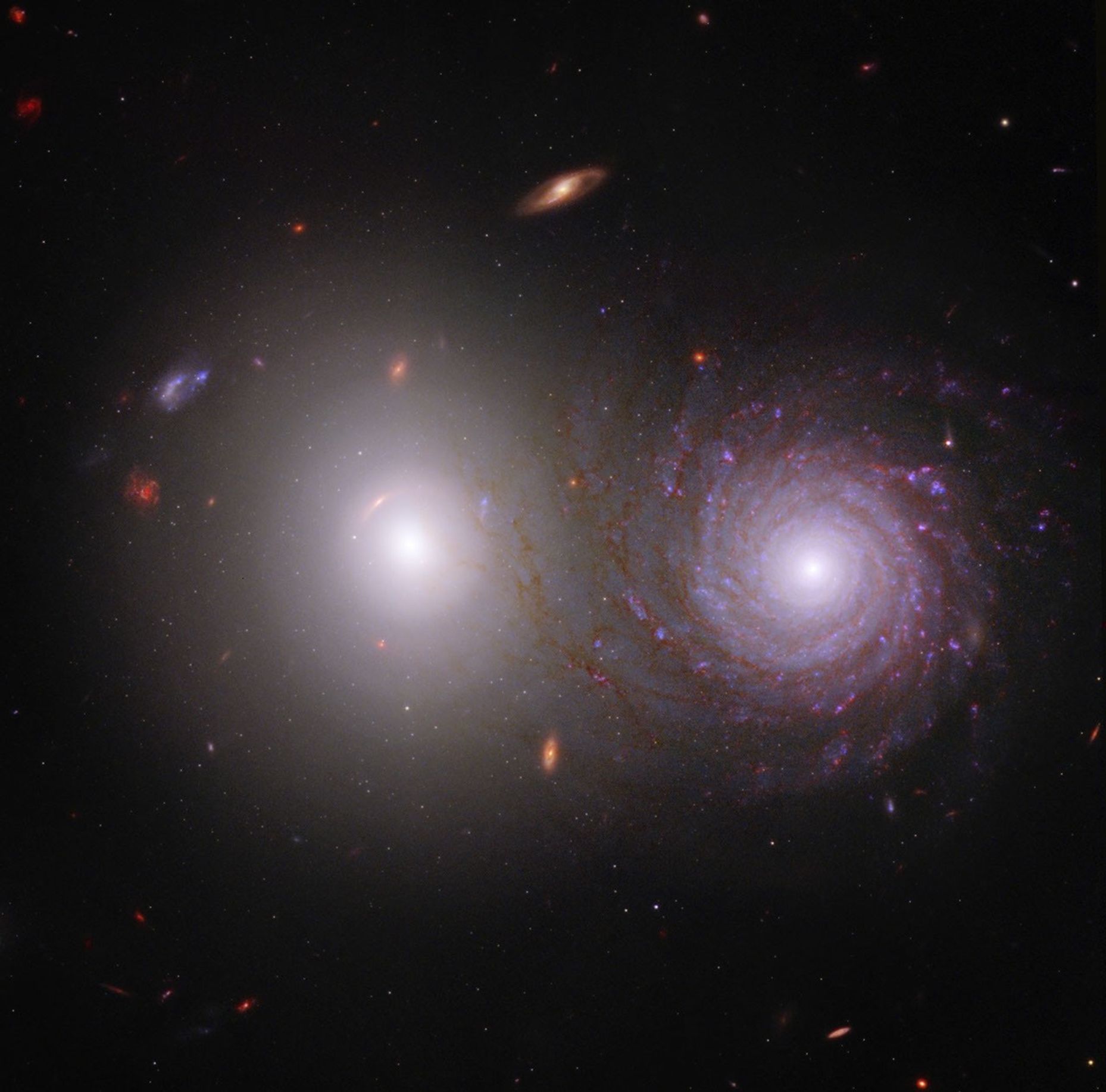 Two overlapping galaxies against a dark field of distant stars and galaxies. A bright, smooth galaxy at left partially overlaps a face-on spiral galaxy at right, whose winding arms are dotted with blue and pink regions.