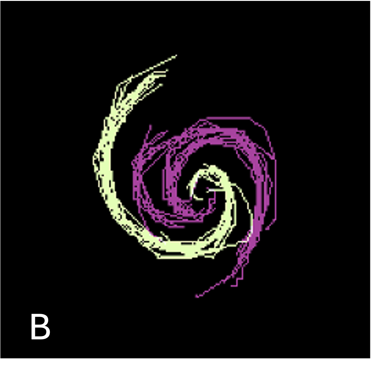 Two spiral visualizations appear against a black background. The first shows a composite of all the grey tracings of spiral arms made by the previous project’s volunteers, forming a wispy cartoon of a multi‑armed spiral. The second shows the same tracings, but this time in yellow and purple, each color indicating a spiral arm as identified by this project’s computer model.