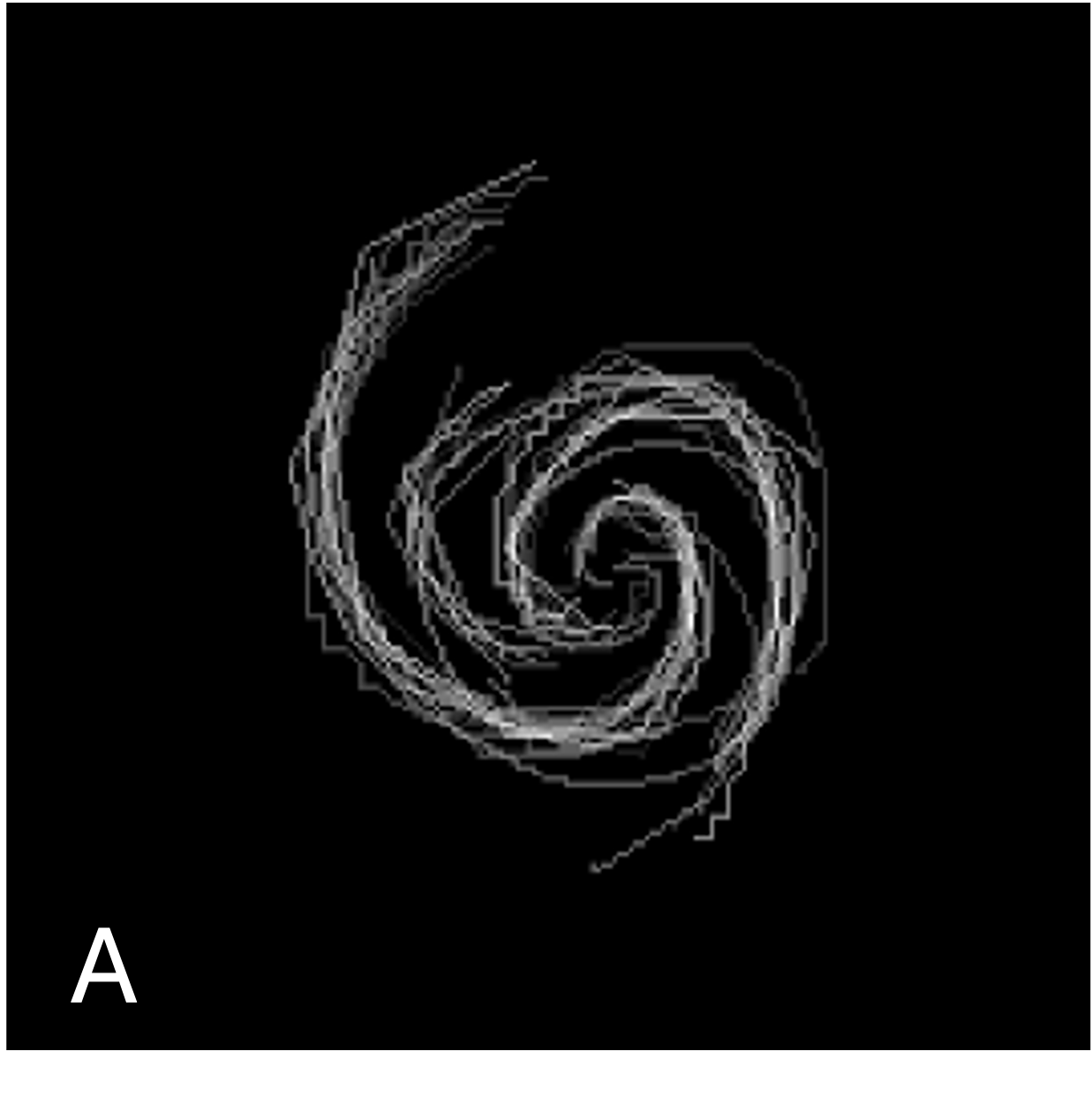 Two spiral visualizations appear against a black background. The first shows a composite of all the grey tracings of spiral arms made by the previous project’s volunteers, forming a wispy cartoon of a multi‑armed spiral. The second shows the same tracings, but this time in yellow and purple, each color indicating a spiral arm as identified by this project’s computer model.