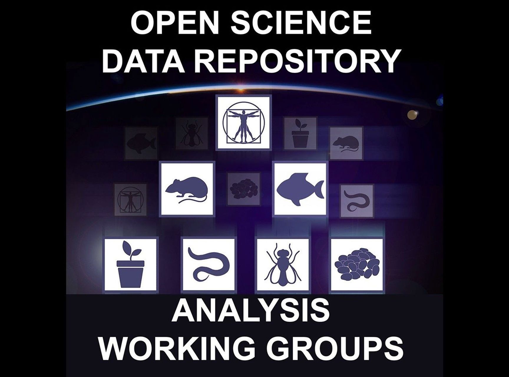 Open Science Data Repository Analysis Working Group