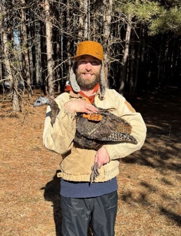 Person wearing a tan jacket and orange cap standing in a pine forest, smiling and holding a wild turkey with an orange tracking tag on its back.