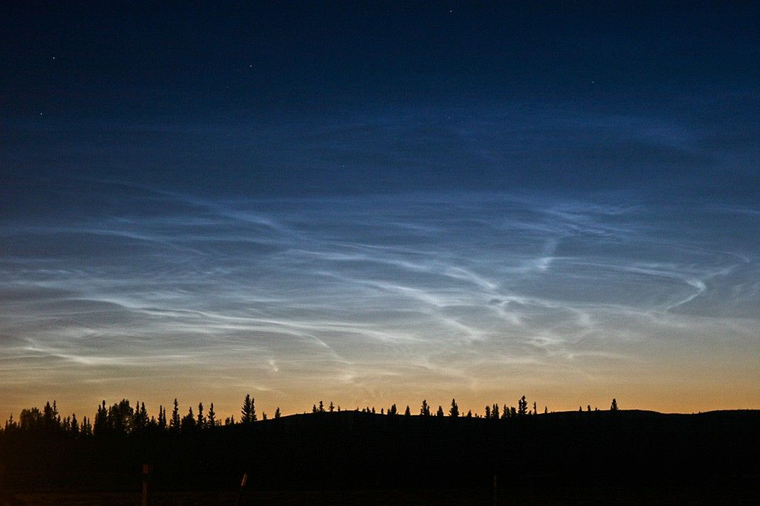 A pre-dawn or early evening sky fades from burnt orange at the horizon to very dark blue overhead. A web of silver-white noctilucent clouds overlays the color. At the bottom, the sharp tops of evergreen trees are silhouetted.