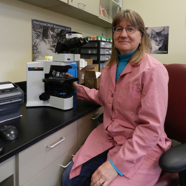 Photo of a woman in a pink lab coat sitting in a science lab next to a microscope