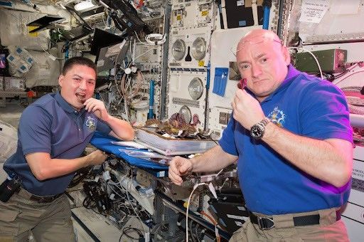 NASA astronauts Kjell Lindgren, left, and Scott Kelly harvest the first red lettuce grown on the International Space Station as part of the Veggie investigation. This technology and method of growing food could help sustain astronauts by growing the food astronauts need to survive in space and is a critical step on the path to Mars.