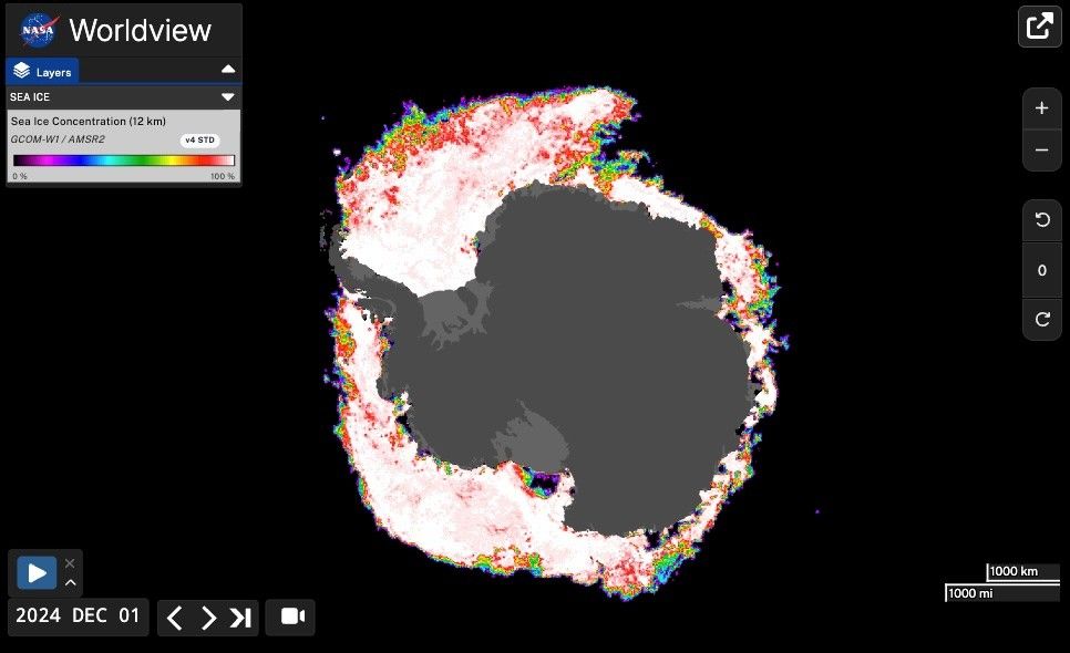 Map of Antarctic sea ice concentration on December 1, 2024, showing varying ice coverage around the continent in color-coded percentages.