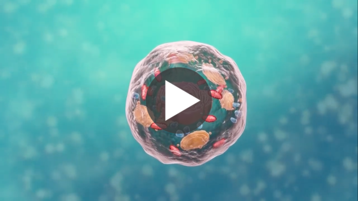 3D-rendered cell with internal structures and a play button icon on a teal background.