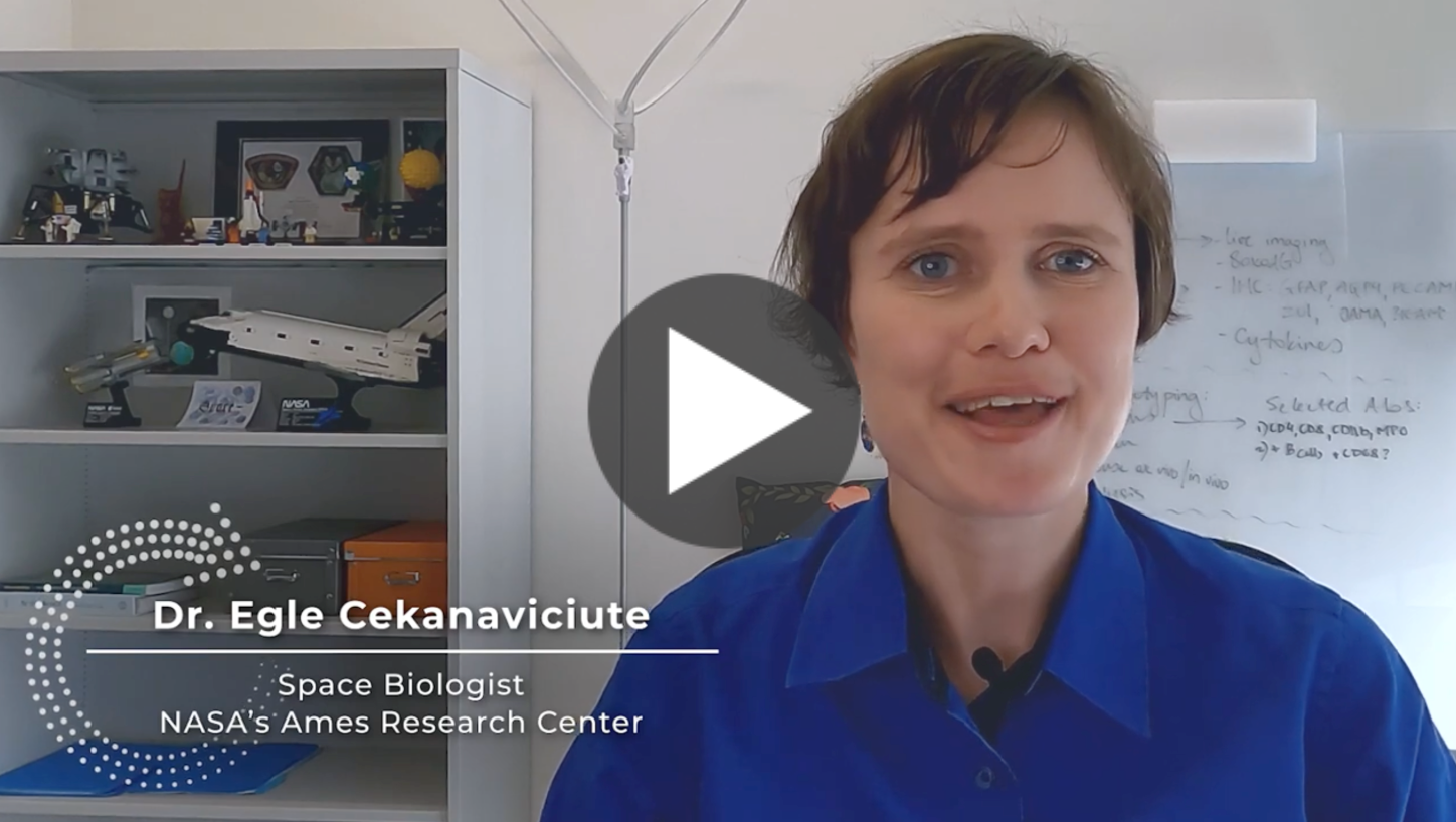 Video thumbnail of a person smiling in an office setting with a shelving unit of models and a whiteboard behind them.