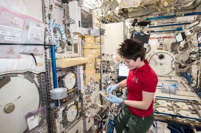 Person in a space station module working with scientific equipment surrounded by cables and storage units.