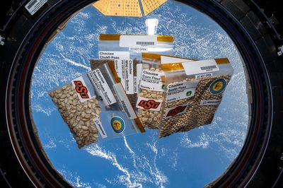 Seeds packets floating in front of a spacecraft window with Earth visible outside.