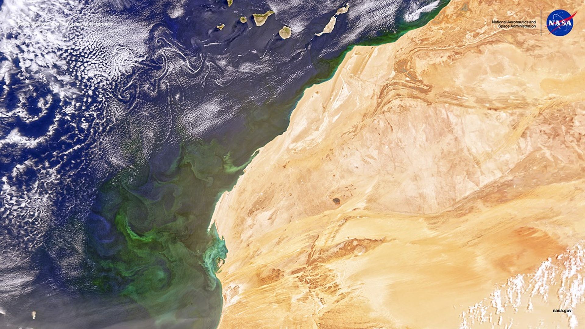 Satellite view of northwestern Africa showing the Sahara Desert, swirling ocean currents, and scattered clouds over the Atlantic Ocean; the Canary Islands are visible off the coast. NASA logo appears in the upper right corner.