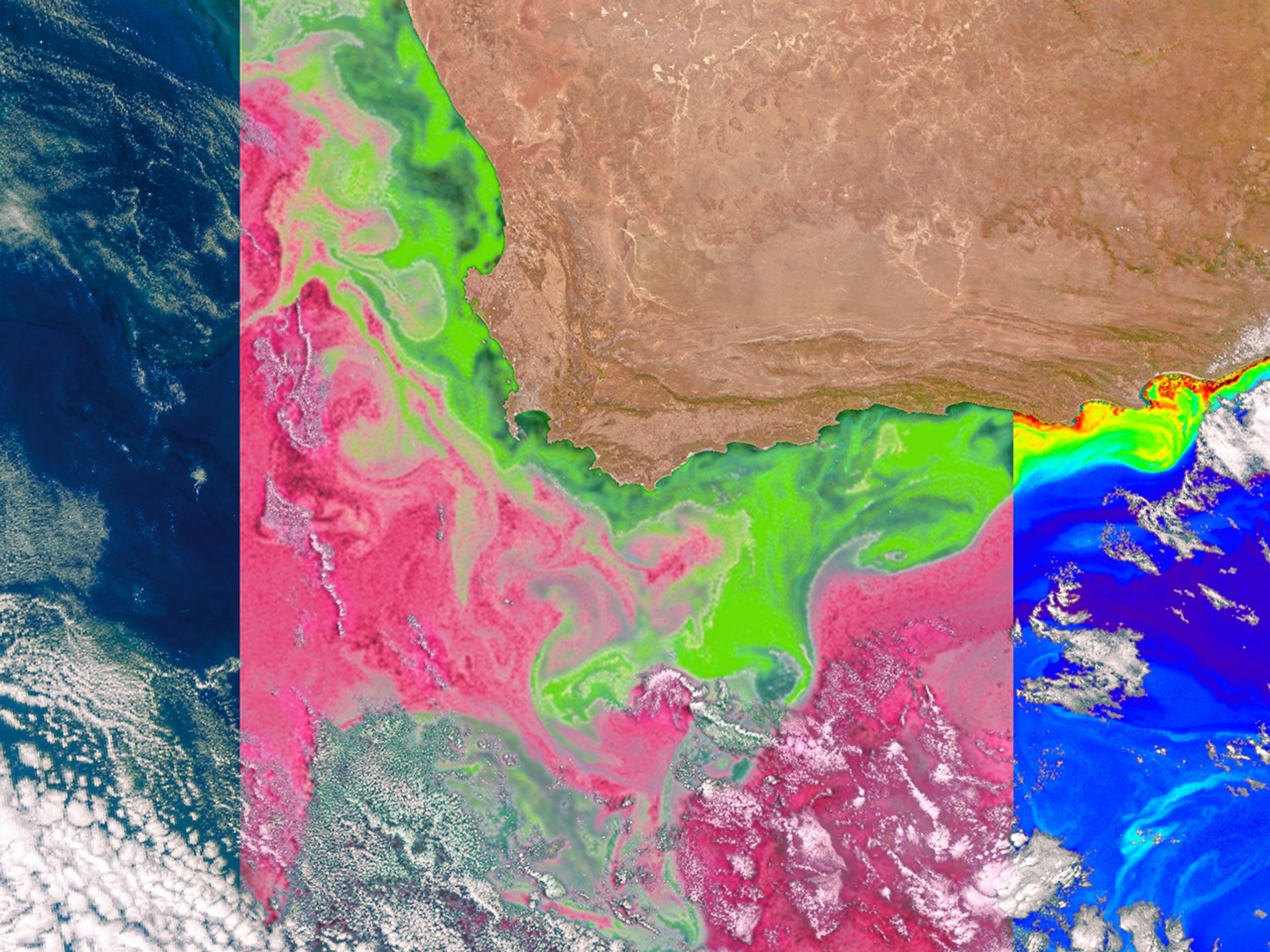 Composite satellite image of ocean color data off the coast of southern Africa, showing swirling patterns in various color enhancements—natural color, chlorophyll concentration, and other ocean color metrics—to visualize phytoplankton and ocean dynamics.