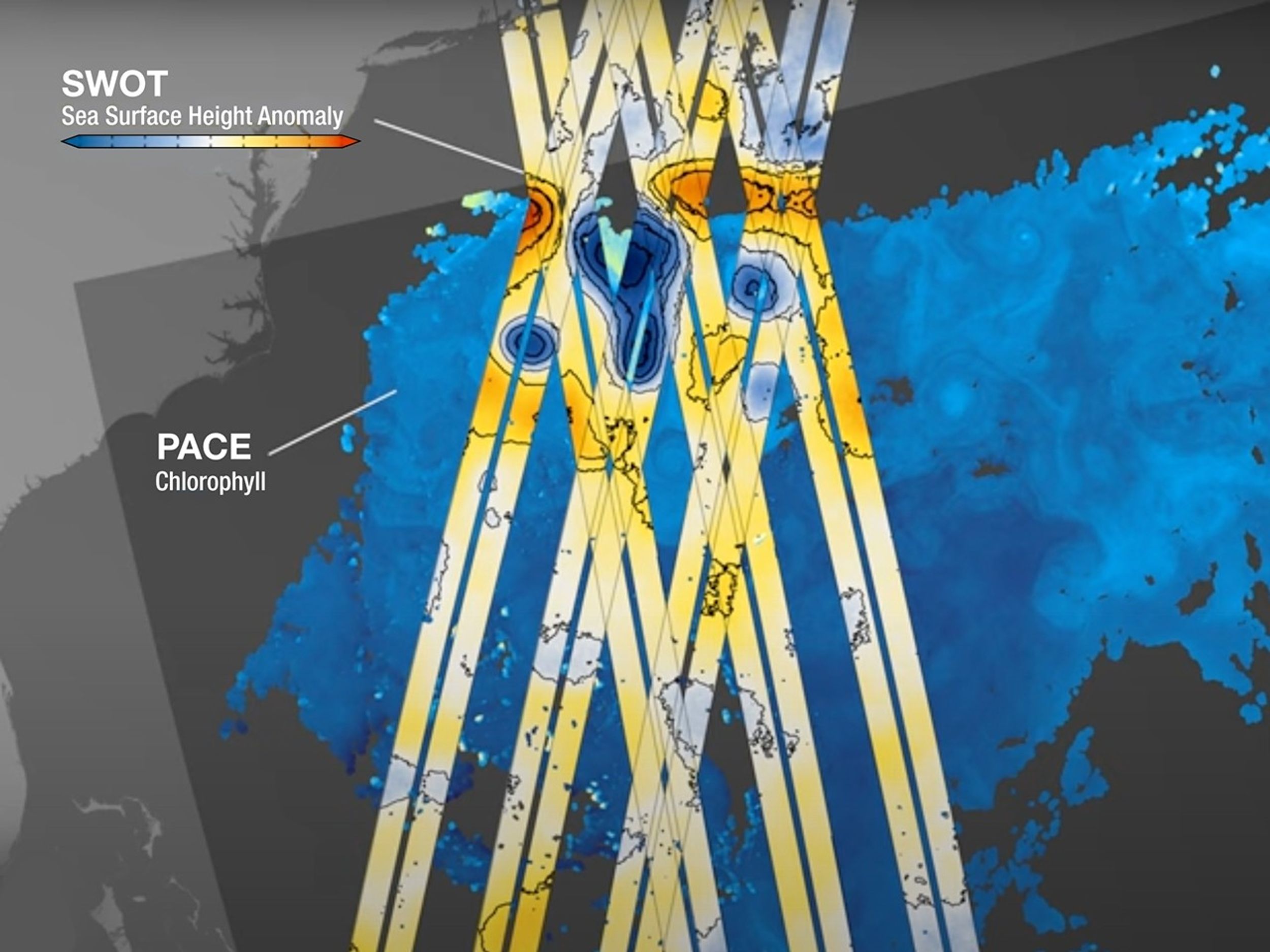 Visualization showing overlapping satellite data off the U.S. East Coast, with PACE satellite measuring ocean chlorophyll concentration in blue tones and SWOT satellite data overlaid in yellow and orange bands indicating sea surface height anomalies.