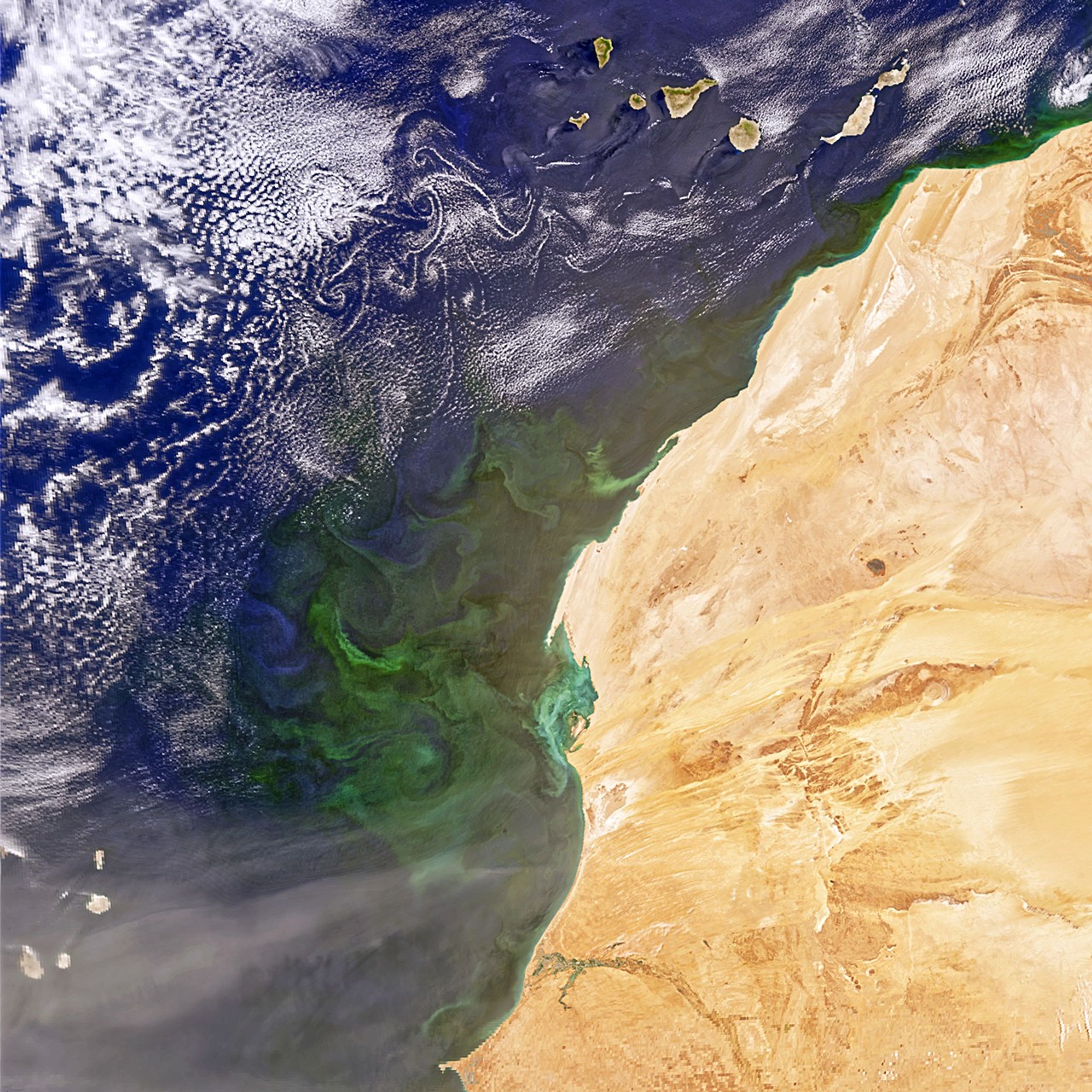 Satellite view of northwestern Africa showing the Sahara Desert, swirling ocean currents, and scattered clouds over the Atlantic Ocean; the Canary Islands are visible off the coast. NASA logo appears in the upper right corner.