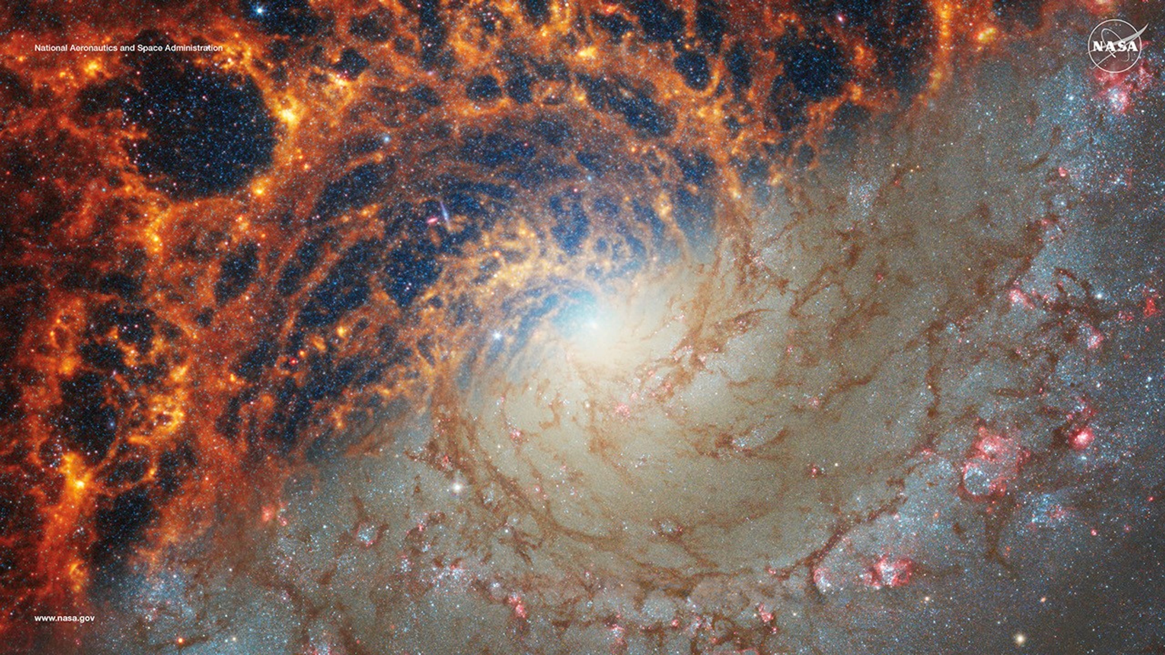 This face-on view of spiral galaxy NGC 628 is split diagonally, showing observations from the James Webb Space Telescope (JWST) in the top left portion of the image and Hubble Space Telescope (HST) in the bottom right portion. JWST�s observations combine near- and mid-infrared light, while HST�s observations showcase visible light. Complementary views show predominantly stars (HST) and obscuring dust (JWST). In JWST�s high-resolution infrared images, the gas and dust stand out in stark shades of orange and red and show finer spiral shapes with the appearance of jagged edges, though these areas are still diffuse. In HST�s images, the gas and dust show up as hazy dark brown lanes, following the same spiral shapes. HST�s images are about the same resolution as JWST�s, but the gas and dust obscure a lot of the smaller-scale star formation. Image and text credit: NASA, European Space Agency (ESA), Canadian Space Agency (CSA), Space Telescope Science Institute (STScI), Janice Lee (STScI), Thomas Williams (University of Oxford), Physics at High Angular resolution in Nearby GalaxieS (PHANGS) Team