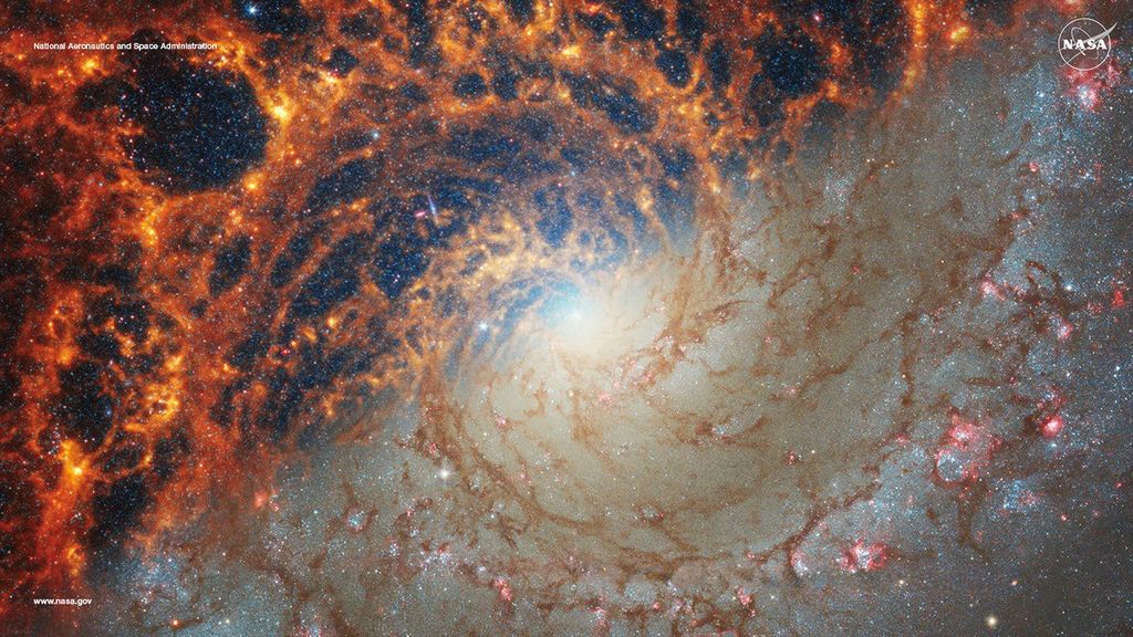 This face-on view of spiral galaxy NGC 628 is split diagonally, showing observations from the James Webb Space Telescope (JWST) in the top left portion of the image and Hubble Space Telescope (HST) in the bottom right portion. JWST�s observations combine near- and mid-infrared light, while HST�s observations showcase visible light. Complementary views show predominantly stars (HST) and obscuring dust (JWST). In JWST�s high-resolution infrared images, the gas and dust stand out in stark shades of orange and red and show finer spiral shapes with the appearance of jagged edges, though these areas are still diffuse. In HST�s images, the gas and dust show up as hazy dark brown lanes, following the same spiral shapes. HST�s images are about the same resolution as JWST�s, but the gas and dust obscure a lot of the smaller-scale star formation. Image and text credit: NASA, European Space Agency (ESA), Canadian Space Agency (CSA), Space Telescope Science Institute (STScI), Janice Lee (STScI), Thomas Williams (University of Oxford), Physics at High Angular resolution in Nearby GalaxieS (PHANGS) Team