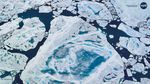 Thinning Arctic Sea Ice